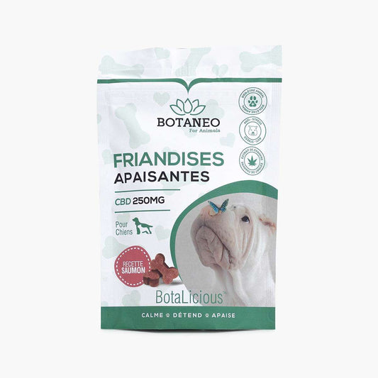 Friandises CBD pour chiens